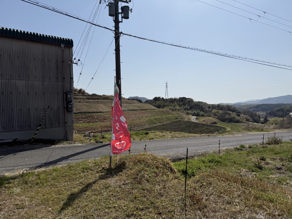 はる苺の駐車場目印