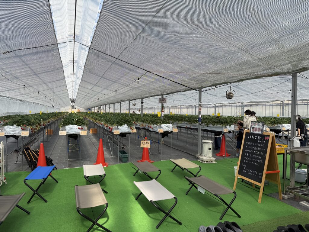 はる苺に入ったらこんな感じ